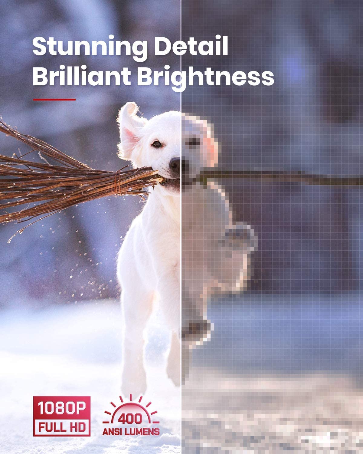 A dog runs and carries a stick to demonstrate Solar's 1080p resolution and 400 ANSI Lumens.